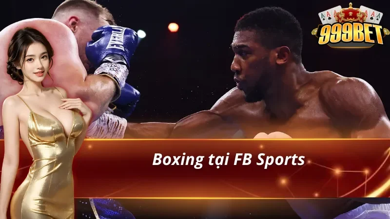 Boxing với tỷ lệ ăn thưởng lớn có tại Fb Sports