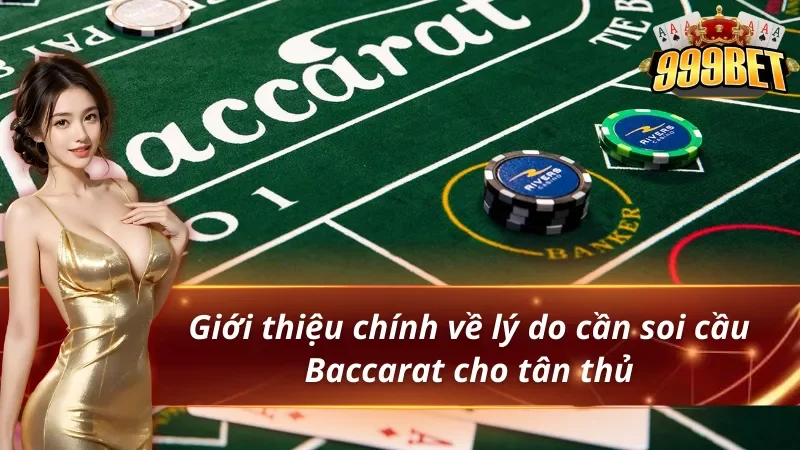 Lý do nên soi cầu Baccarat
