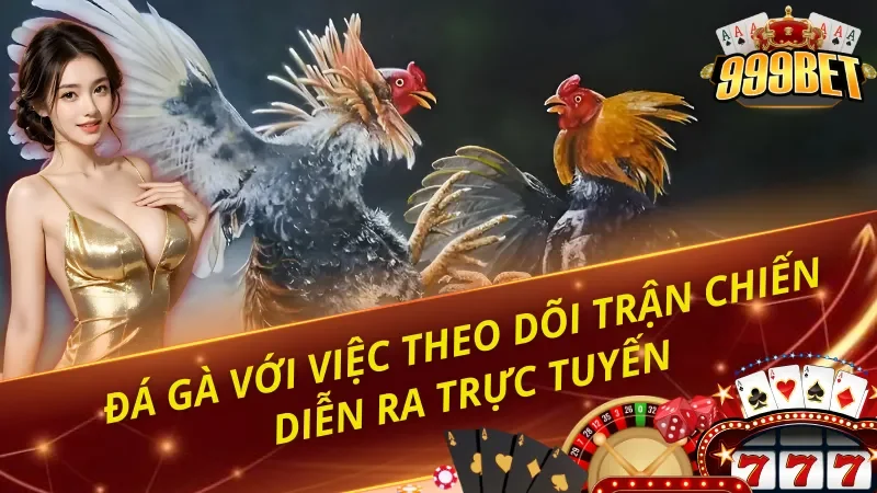 Dự đoán đá gà 999BET với các trận chiến hấp dẫn